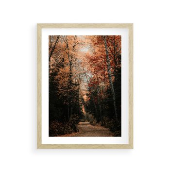 Plakat w ramie 40x50 - Drzewa w Czerwonych Liściach - las, jesienny las - rama drewno