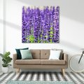 Obraz na płótnie 40x40 - Lawendowa Mgła - lawenda, kwiat