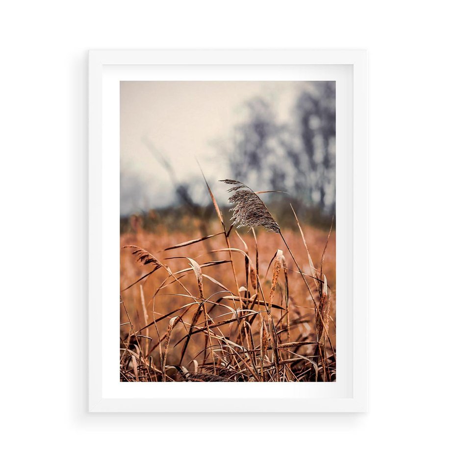 Plakat w ramie 50x70 - Jesienna Melancholia - suche trawy, jesień - rama biała