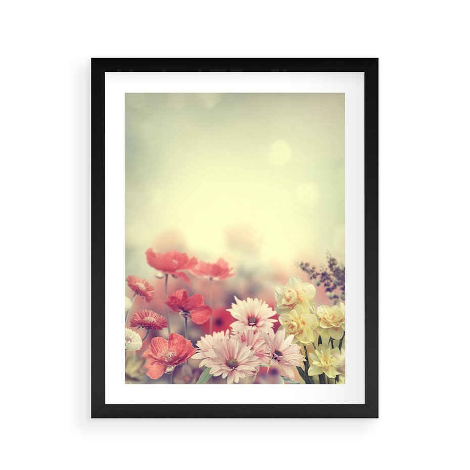 Plakat w ramie 40x50 - Delikatne kwiaty pastelowe - kwiaty, pastelowe - rama czarna