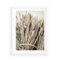 Plakat w ramie 50x70 - Letni Plon - zboże, kłosy zboża - rama biała