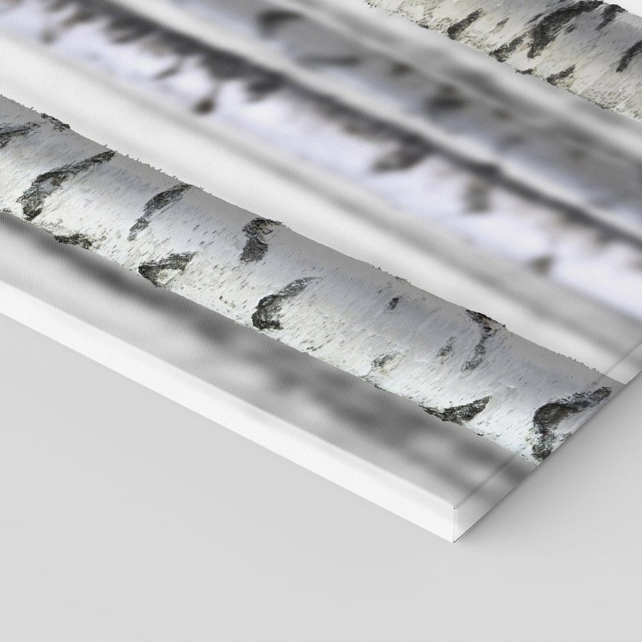 Obraz na płótnie 120x80 - Delikatność brzóz - brzozy, las