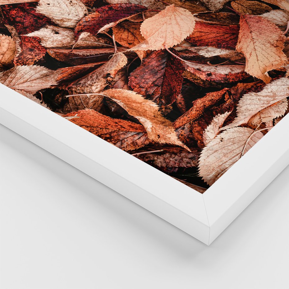 Zestaw obrazy w ramie 30x40 galeria - Jesienny, las, liście - rama biała
