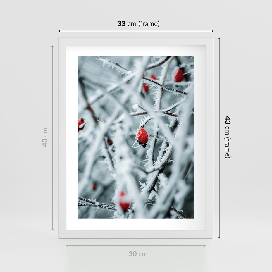 Plakat w ramie 30x40 - Zima na Gałęziach - zima, oszronione gałęzie - rama biała
