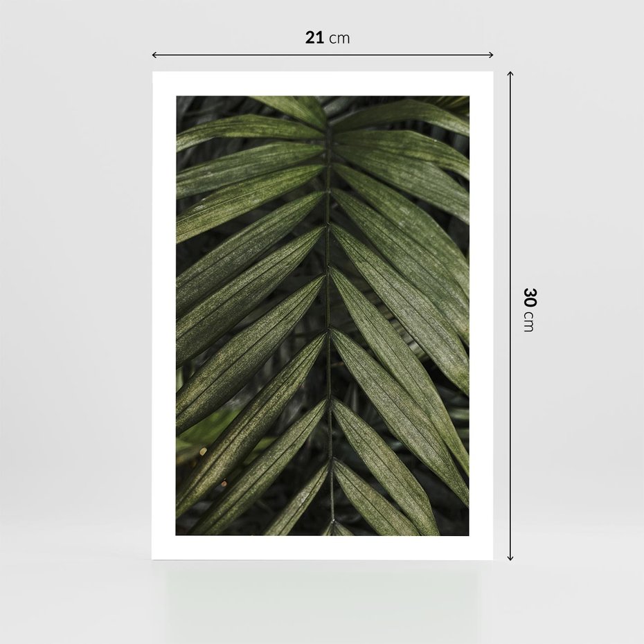 Plakat bez ramy 21x30 - W Liściach Ukryte - zdjęcie, fotografia