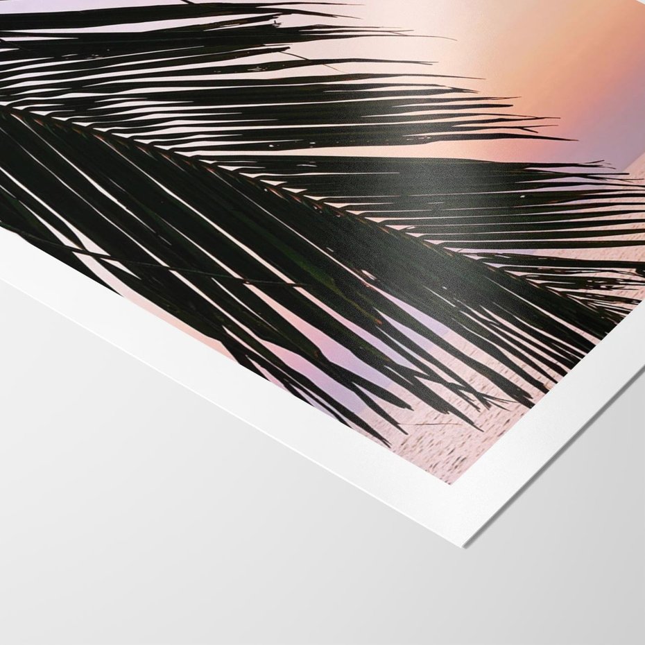 Plakat bez ramy 50x70 - Liście Palmy nad Morzem - zachód słońca, liście palmy na tle nieba i morza