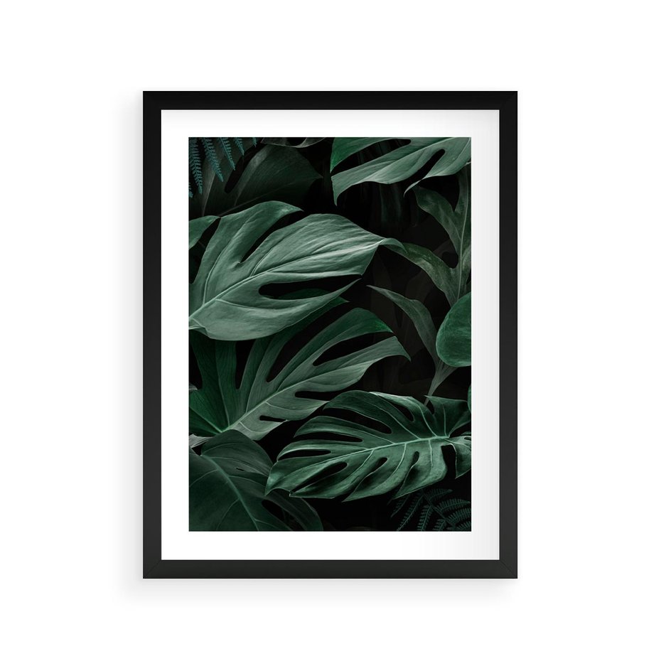 Plakat w ramie 30x40 - Zielone Liście Monstery w Dżungli - zielone liście monstery, dżungla - rama czarna