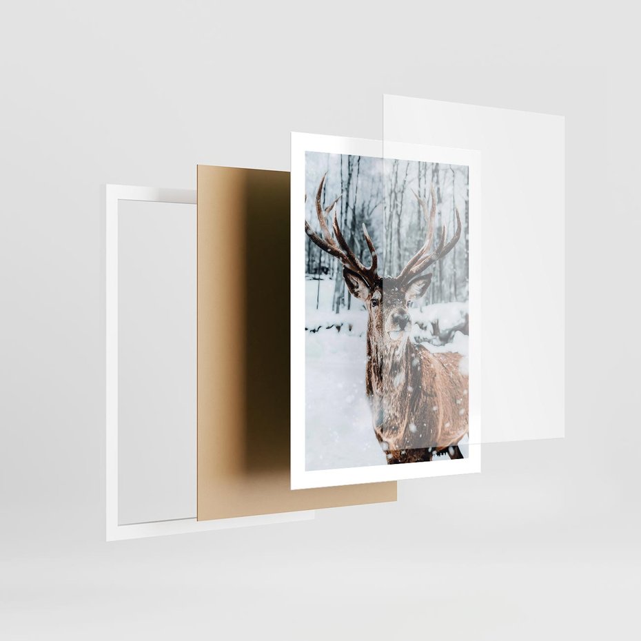 Plakat w ramie 50x70 - Jeleń na Zdjęciu pod Śniegiem - jeleń, zima - rama biała