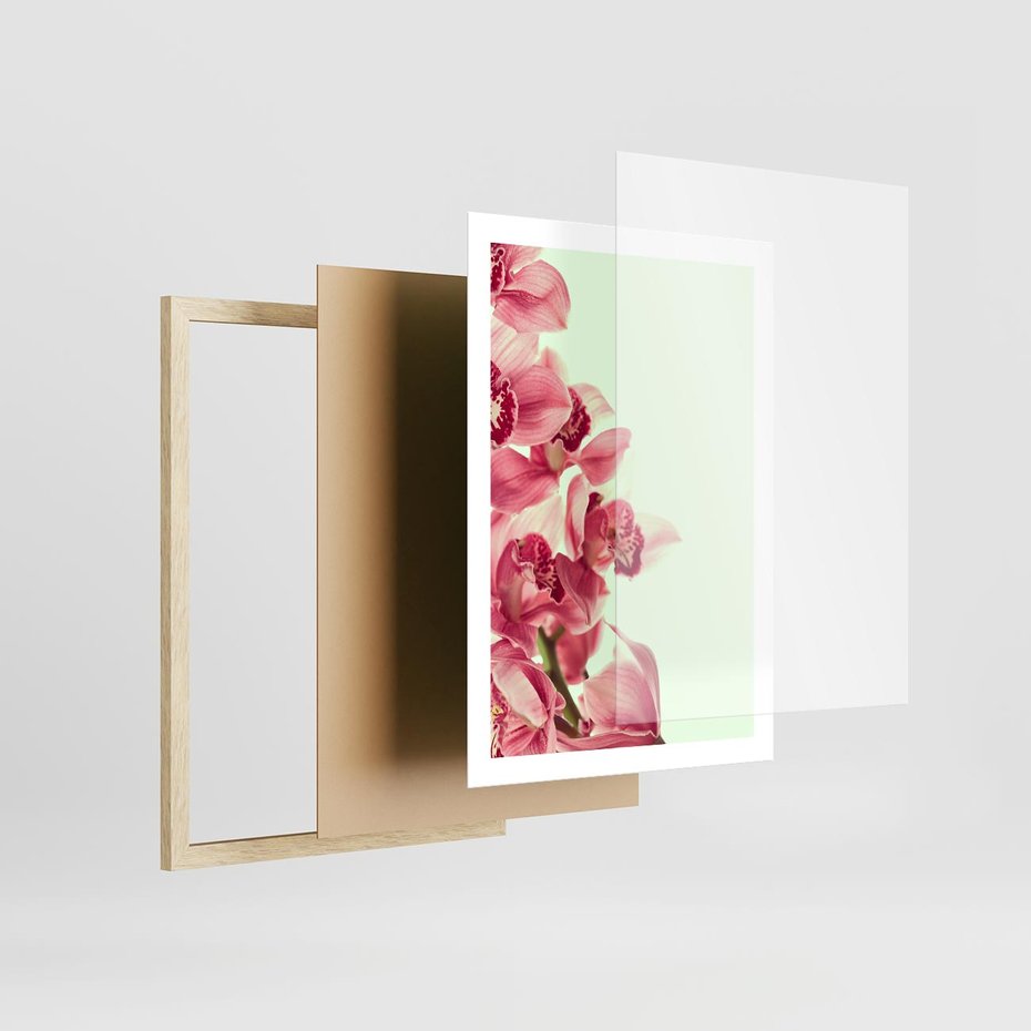 Plakat w ramie 50x70 - Orchidea - delikatne kwiaty - orchidea, kwiaty - rama drewno