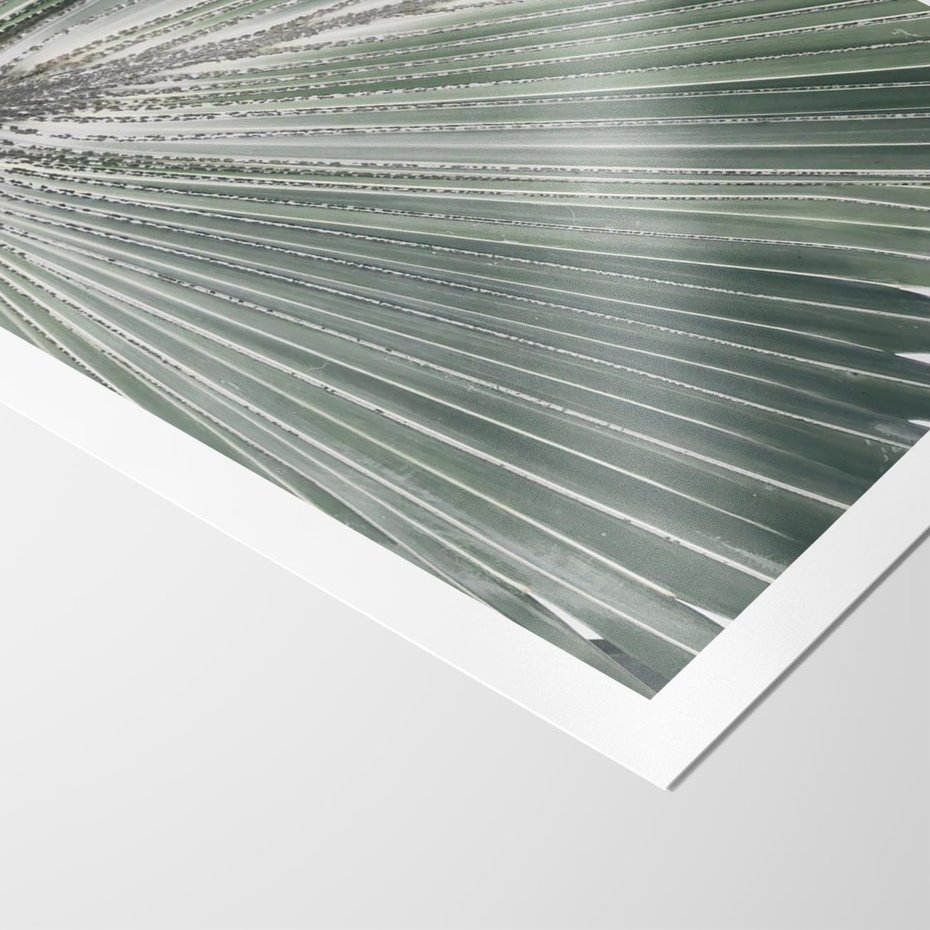 Plakat bez ramy 30x40 - Jasnozielony Świat - palma, liść