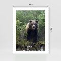 Plakat bez ramy 30x40 - Spotkanie z Niedźwiedziem w Lesie - niedźwiedź, las