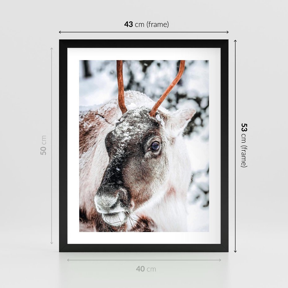 Plakat w ramie 40x50 - Renifer w Zimowej Krainie - renifer, zima - rama czarna