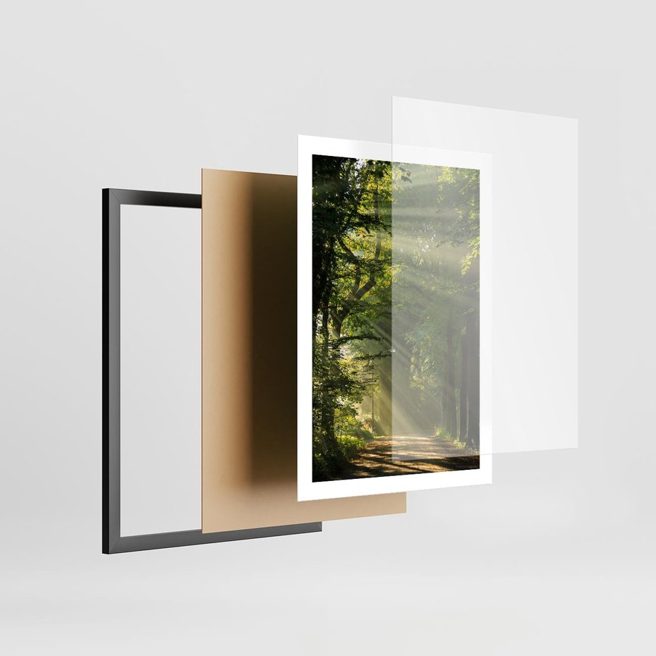 Plakat w ramie 50x70 - harmonia natury - las, drzewa - rama czarna