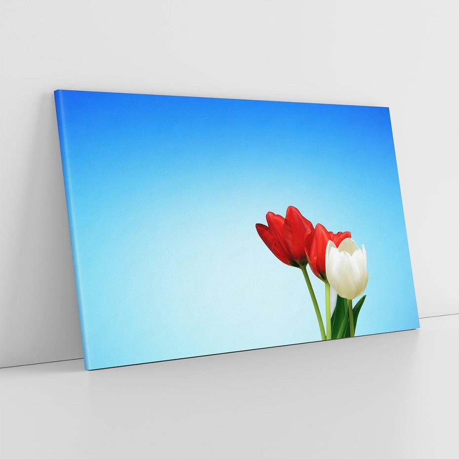 Obraz na płótnie 70x50 - Tulipanowy zachwyt - tulipany, kwiaty