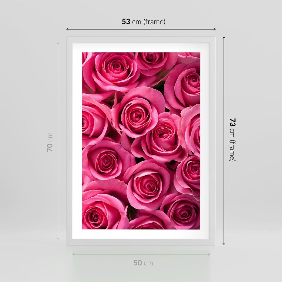 Plakat w ramie 50x70 - Romantyczne róże w pełnym rozkwicie - róże, kwiaty - rama biała