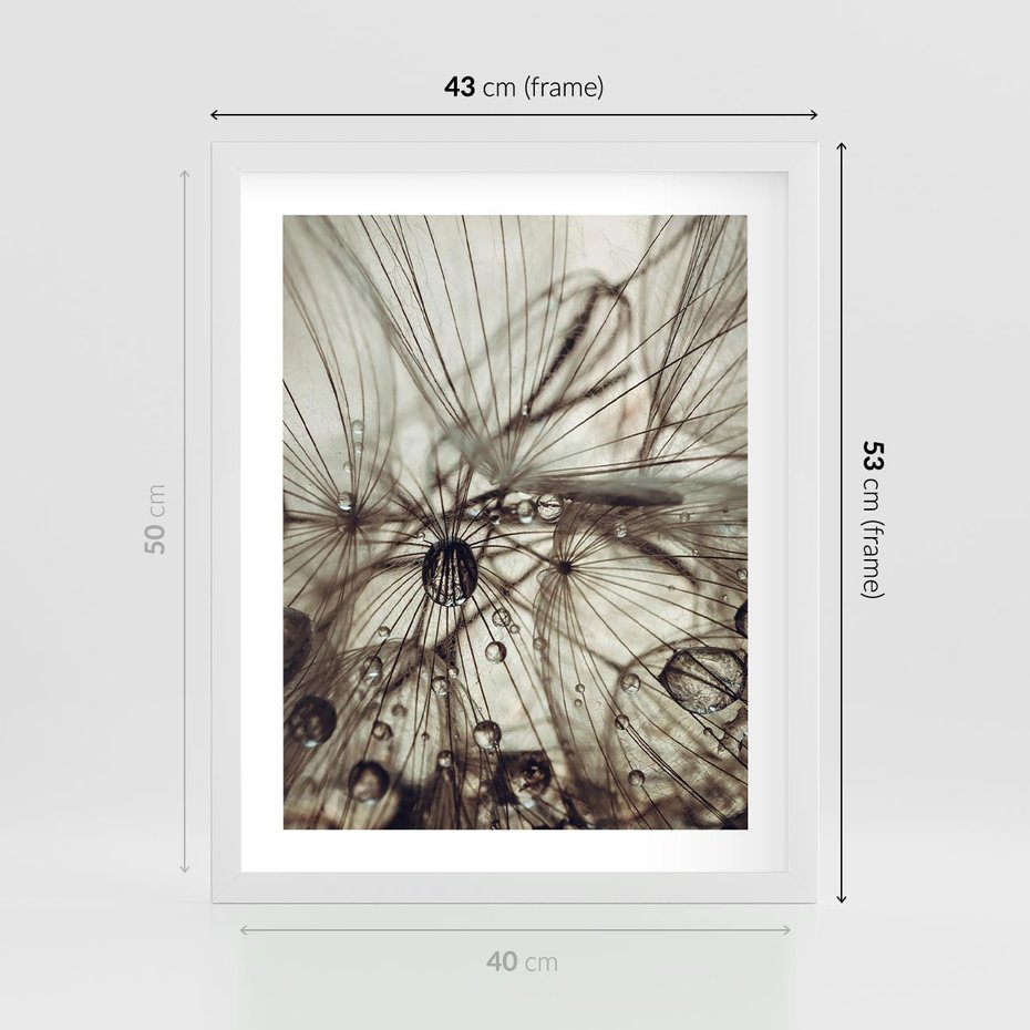 Plakat w ramie 40x50 - Lekkie dmuchawce - dmuchawce, krople - rama biała