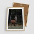 Plakat w ramie 50x70 - Spotkanie z naturą - jeleń, las - rama drewno