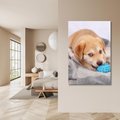 Obraz na płótnie 70x100 - Radość w zabawie: Piesek jako najlepszy przyjaciel - pies, piesek