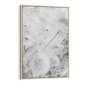 Obraz w ramie 50x70 - Zdmuchnięty Puch - dmuchawce, delikatne - rama drewno