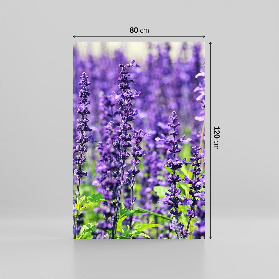 Obraz na płótnie 80x120 - Lawendowa Mgła - lawenda, kwiat