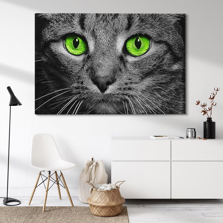 Obraz na płótnie 70x50 - Przestreń nautra doznania - kot, kotek