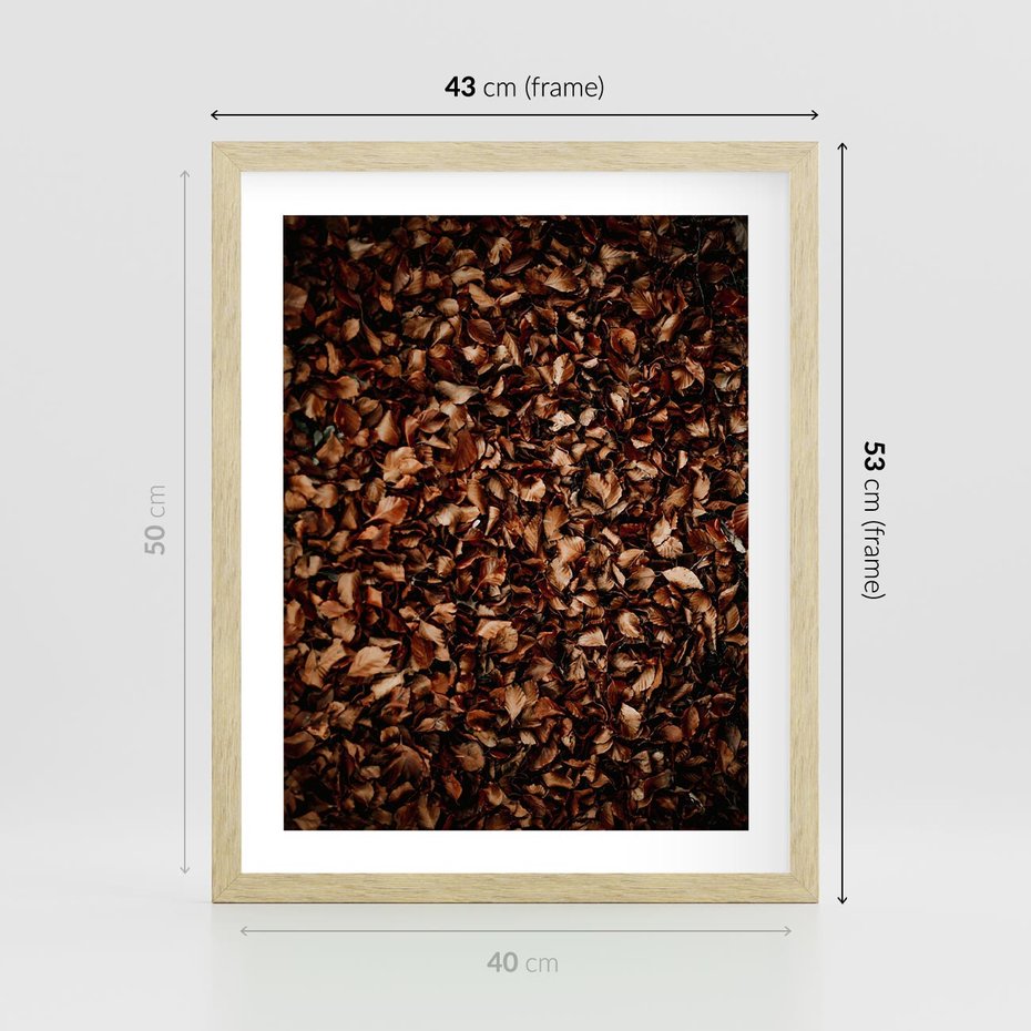 Plakat w ramie 40x50 - Jesienny Dywan - dywan z suchych liści, jesień - rama drewno