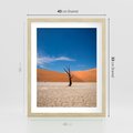 Plakat w ramie 40x50 - Słońce i Suche Drzewo - pustynia, suche - rama drewno