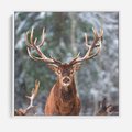 Obraz w ramie 50x50 - Monarcha Zimowej Dziczy - jeleń, zima - rama biała