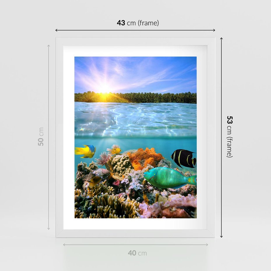 Plakat w ramie 40x50 - Rafa Koralowa - Podwodne Cuda - rafa, koralowa - rama biała