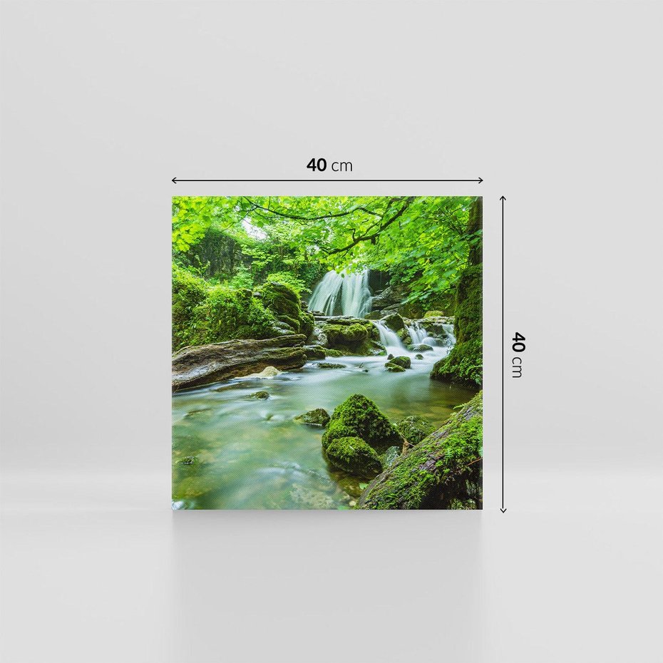 Obraz na płótnie 40x40 - Las przy rzece: potężny wodospad - las, rzeka
