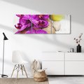 Obraz na płótnie 120x40 - Relaksujące spa w otoczeniu orchidei - spa, świece
