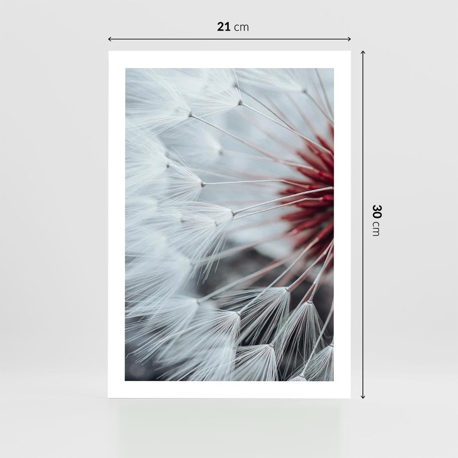 Plakat bez ramy 21x30 - Makro Magii Natury - dmuchawiec, zbliżenie makro