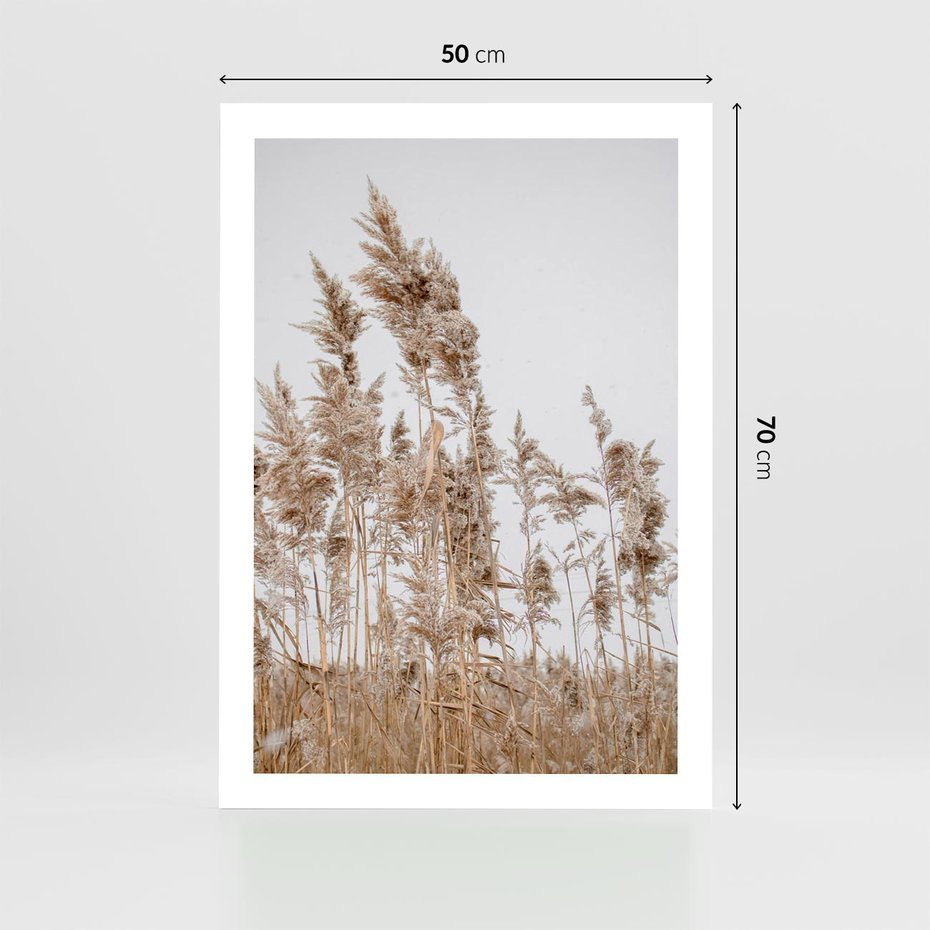 Plakat bez ramy 50x70 - Boho Urok - trawy, pampas