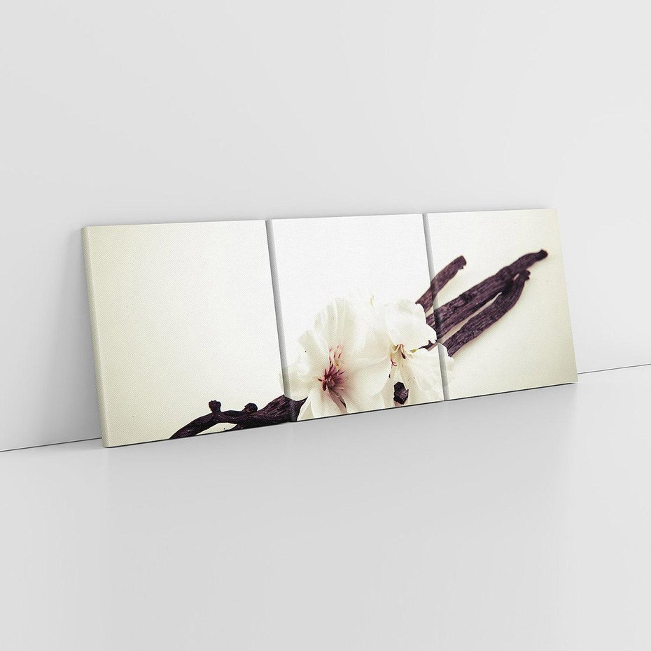 Obraz na płótnie 150x50 - Czuła delikatność wanilii - wanilia, kwiaty