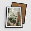 Plakat w ramie 50x70 - Sukulenty w Szklarni - sukulenty, w szklarni - rama czarna