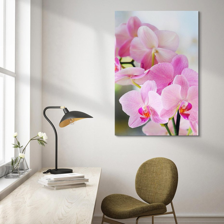 Obraz na płótnie 50x70 - Elegancja orchidei - orchidea, kwiaty