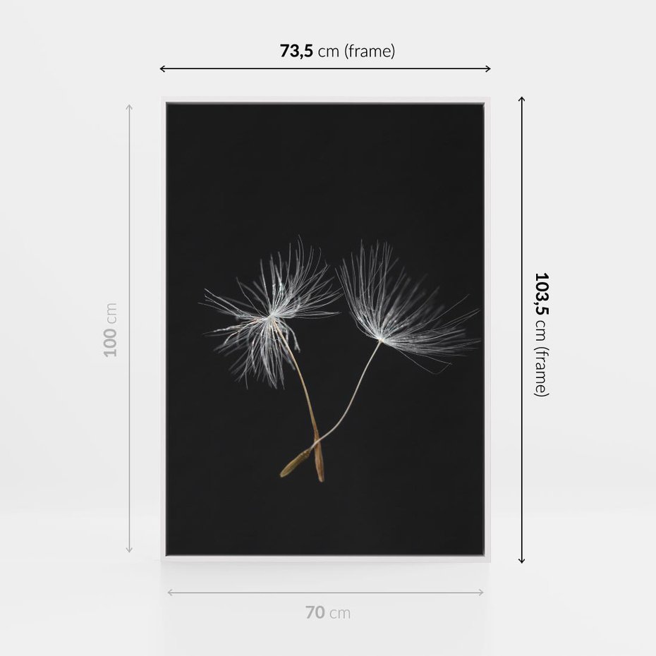 Obraz w ramie 70x100 - Delikatność Wiatru - dmuchawce, makro - rama biała
