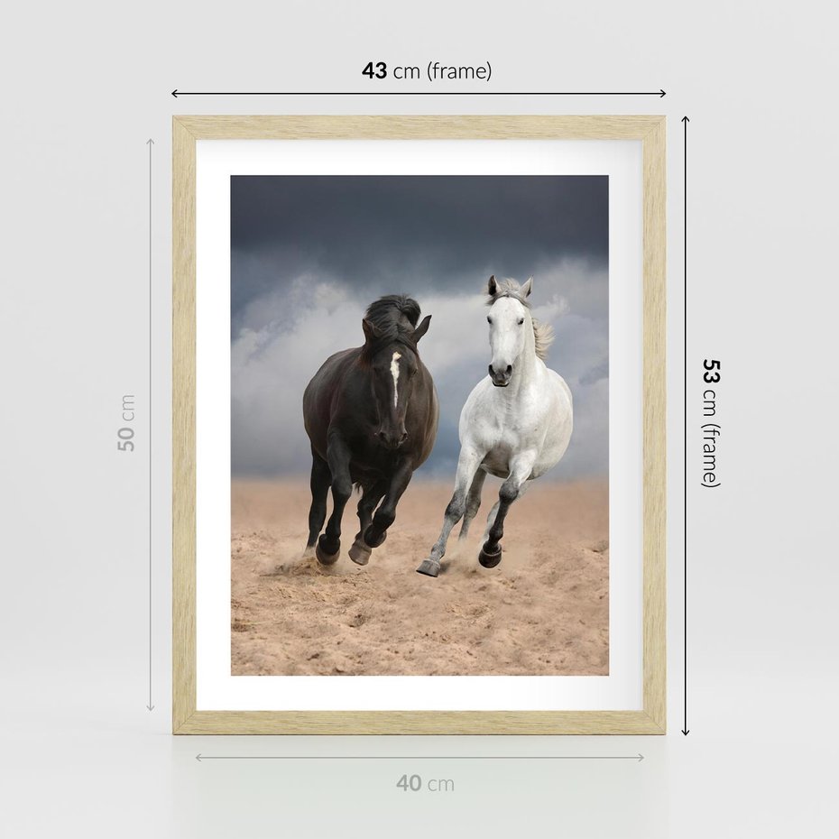 Plakat w ramie 40x50 - Siła koni w galopie - konie, galop - rama drewno