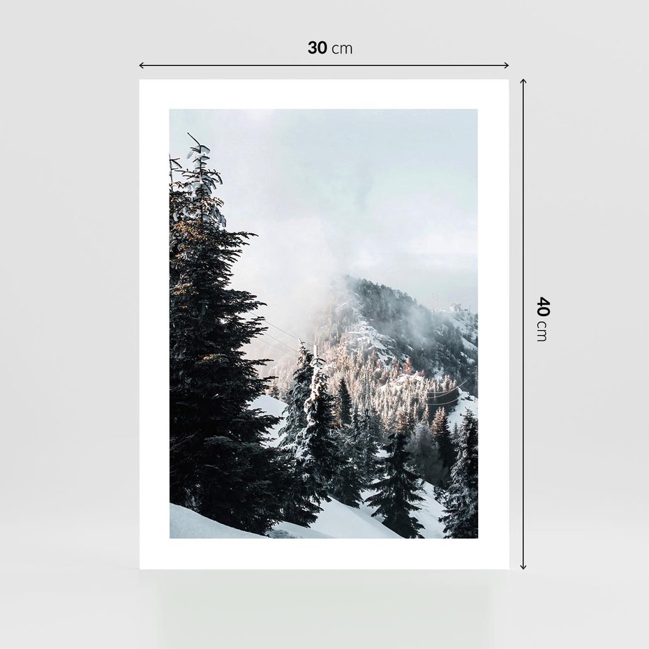 Plakat bez ramy 30x40 - Góry, Las i Śnieg na Obrazie - góry, las
