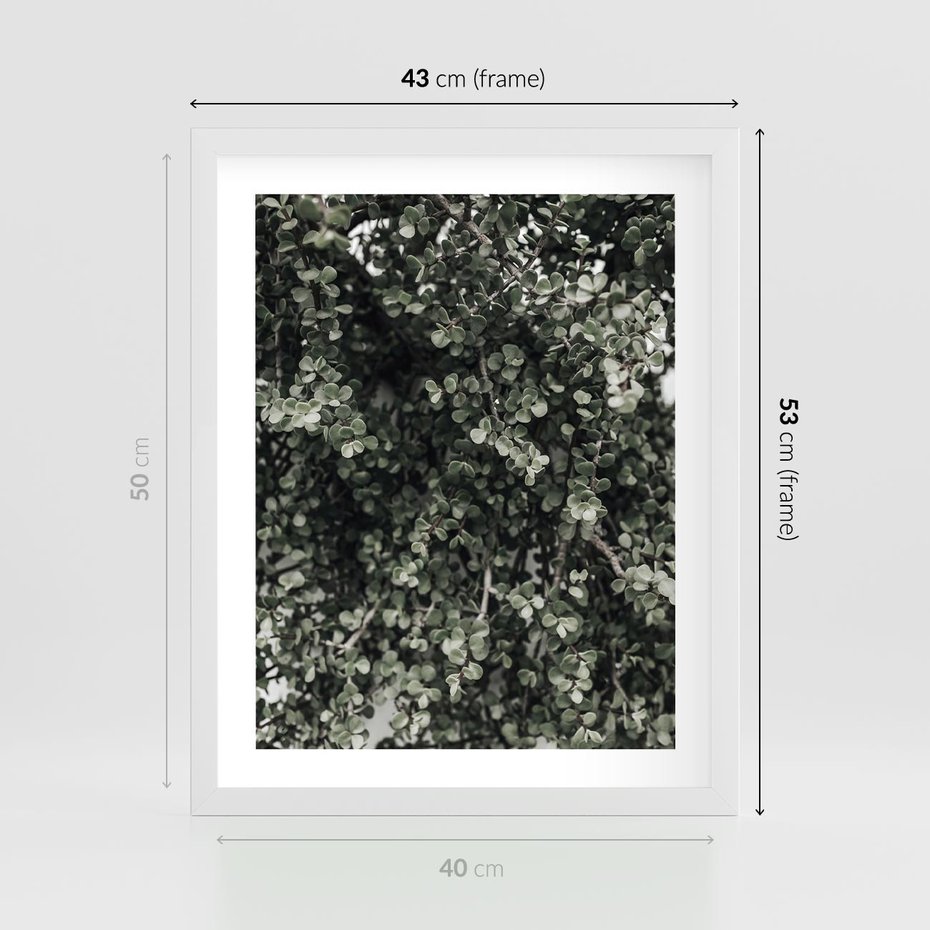 Plakat w ramie 40x50 - Jasnozielone Liście i Gałązki - liście, gałązki - rama biała