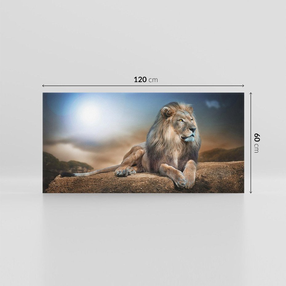 Obraz na płótnie 120x60 - Król sawanny - lew, kamień