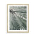 Plakat w ramie 50x70 - Jasnozielony Świat - palma, liść - rama drewno