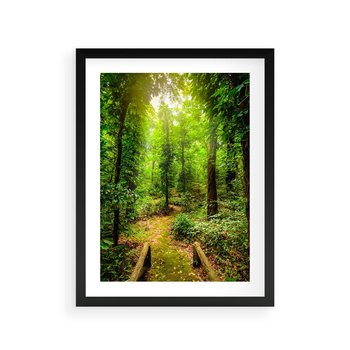 Plakat w ramie 30x40 - Współistnienie z naturą - drzewa, las - rama czarna