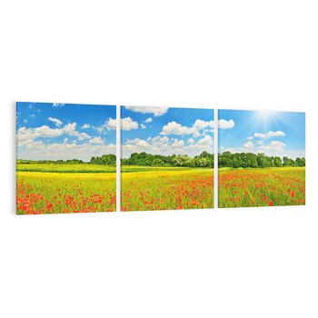 Obraz na płótnie 150x50 - Malownicze maki na łące - maki, łąka