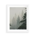 Plakat w ramie 40x50 - Mglista przemiana lasu - las, mgła - rama biała