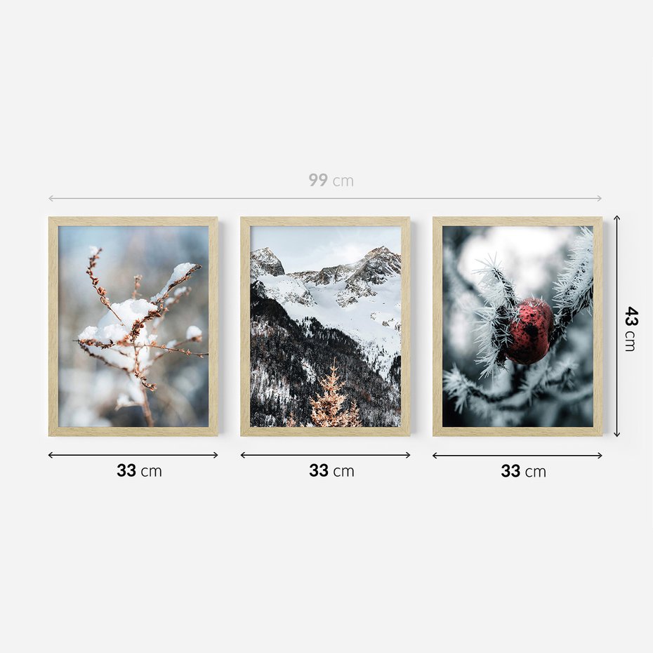 Zestaw obrazy w ramie 30x40 galeria - Zima, w, górach, gałązki - rama drewno