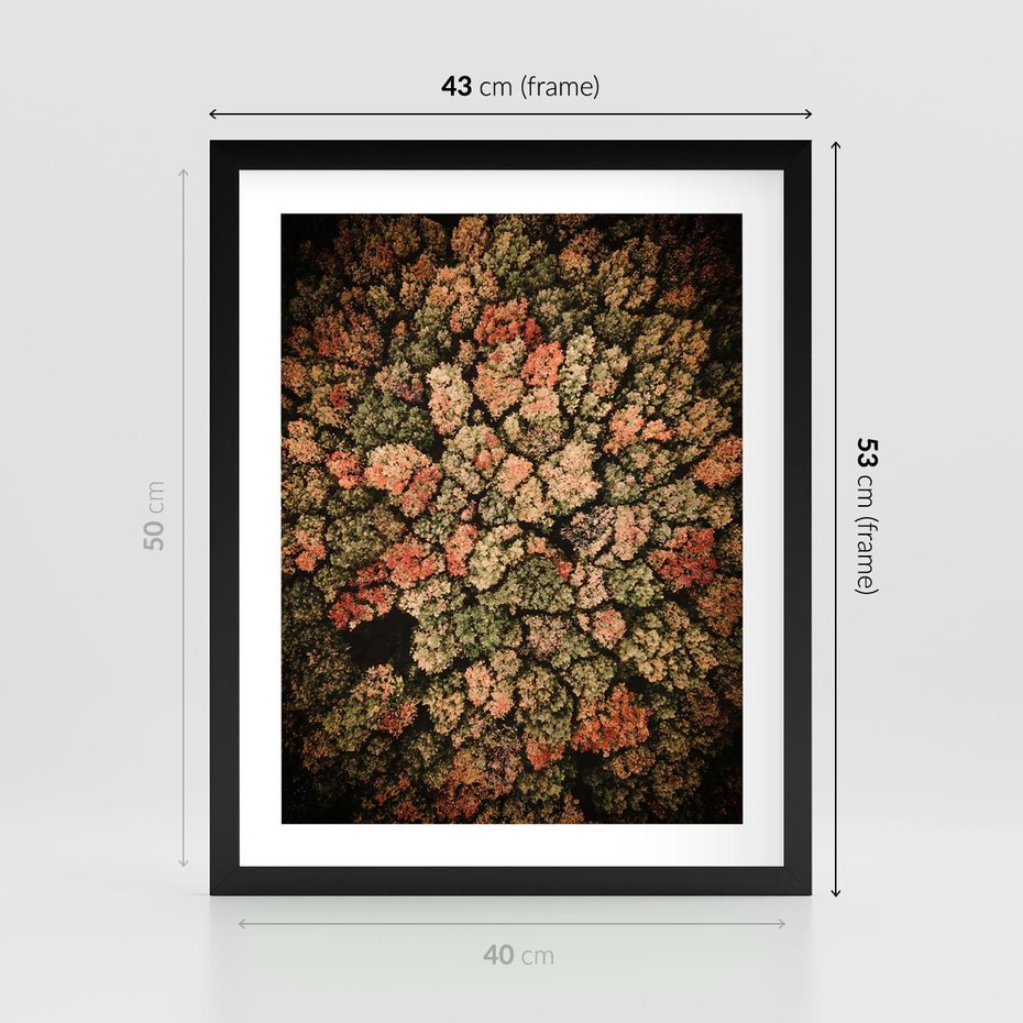 Plakat w ramie 40x50 - Jesień z Lotu Ptaka: Malowniczy Las - las jesienią z lotu ptaka - rama czarna