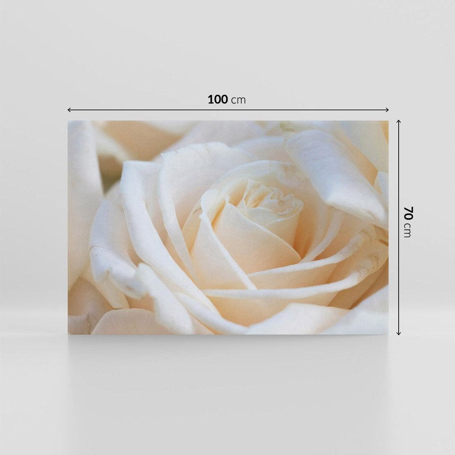 Obraz na płótnie 100x70 - Białe róże piękności - białe, róże