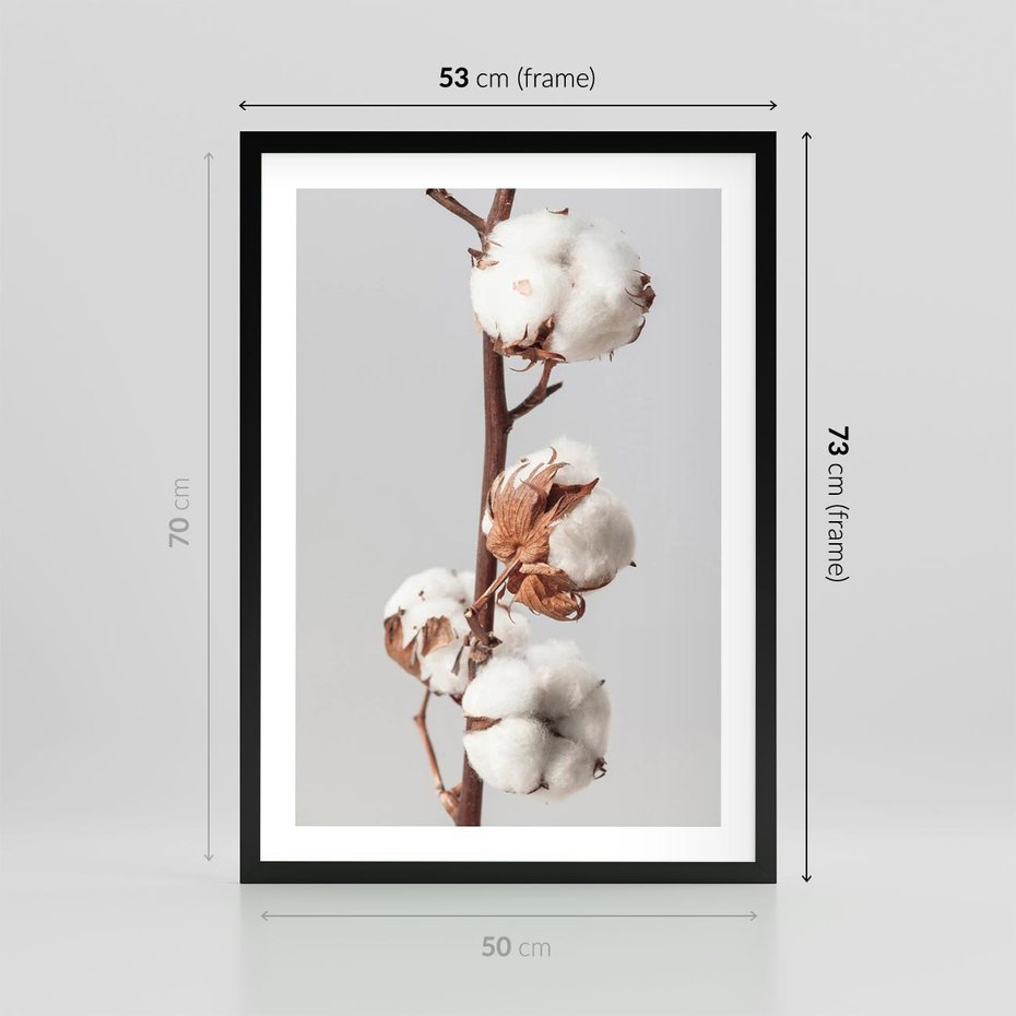 Plakat w ramie 50x70 - Spokojna Gałązka Bawełny - gałązka bawełny, prosta spokojna fotografia - rama czarna