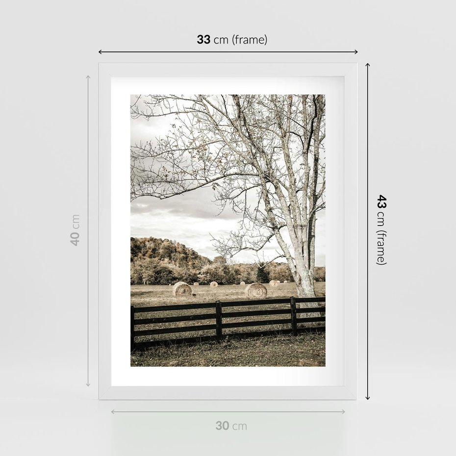 Plakat w ramie 30x40 - Drzewa i Snopki Siana - farma, drzewa - rama biała